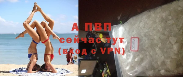 СК Рославль