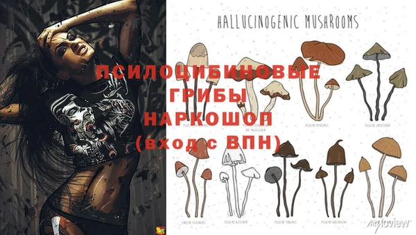 ALPHA PVP Баксан