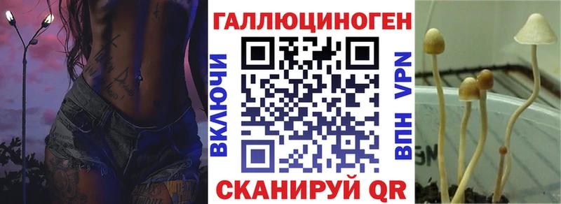 Псилоцибиновые грибы Psilocybine cubensis  гидра рабочий сайт  Мариинский Посад 